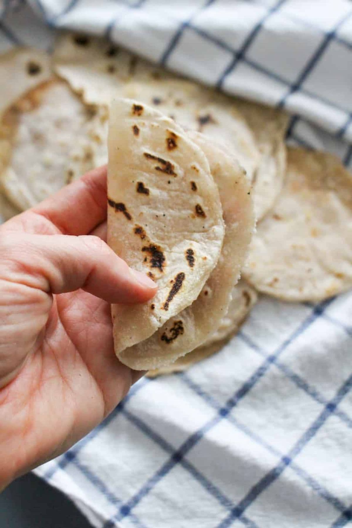 Cassava Flour Tortillas